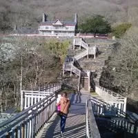 Thank you Sylvia for your time and effort to help me out through this difficult time in my life. Your slides and explanation help to understand what I am going through and how my body reacts to it. This session regarding coping mechanisms gave me hope, that I can slowly but surely learn how to slow down my thoughts and I will use your advice to change my thinking. You are a really good and calm listener, it helps a lot. You are open to share your own experience and it's good to receive the help from the person who went through the same experience.