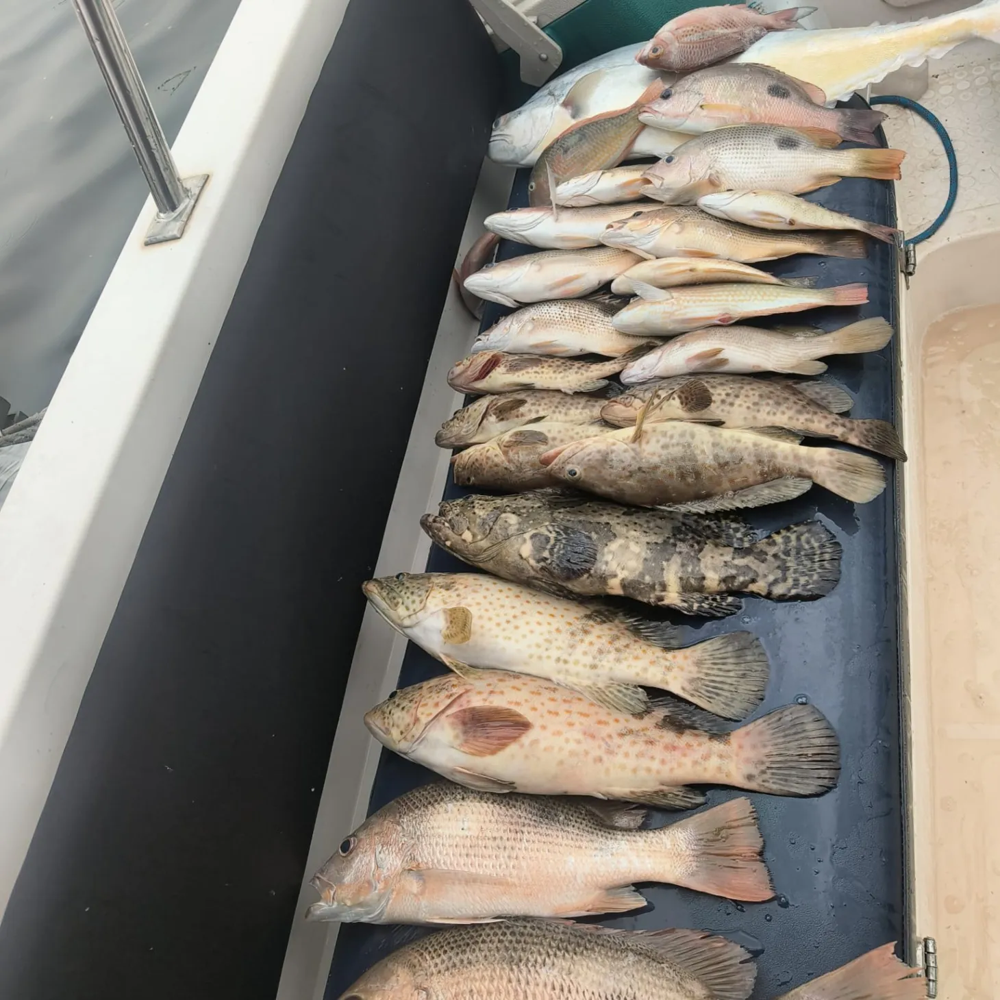 A Community for Serious Anglers