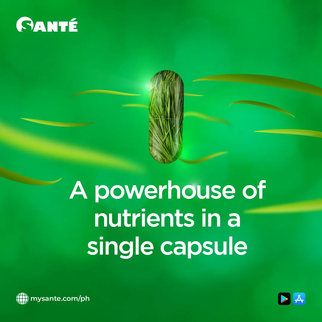 Sante Barley
Simple yet a Powerhouse