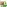 Glass Image Background