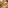 Glass Image Background