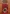 Glass Image Background