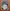 Glass Image Background