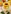 Glass Image Background
