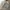 Glass Image Background