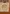 Glass Image Background