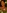 Glass Image Background