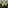 Glass Image Background