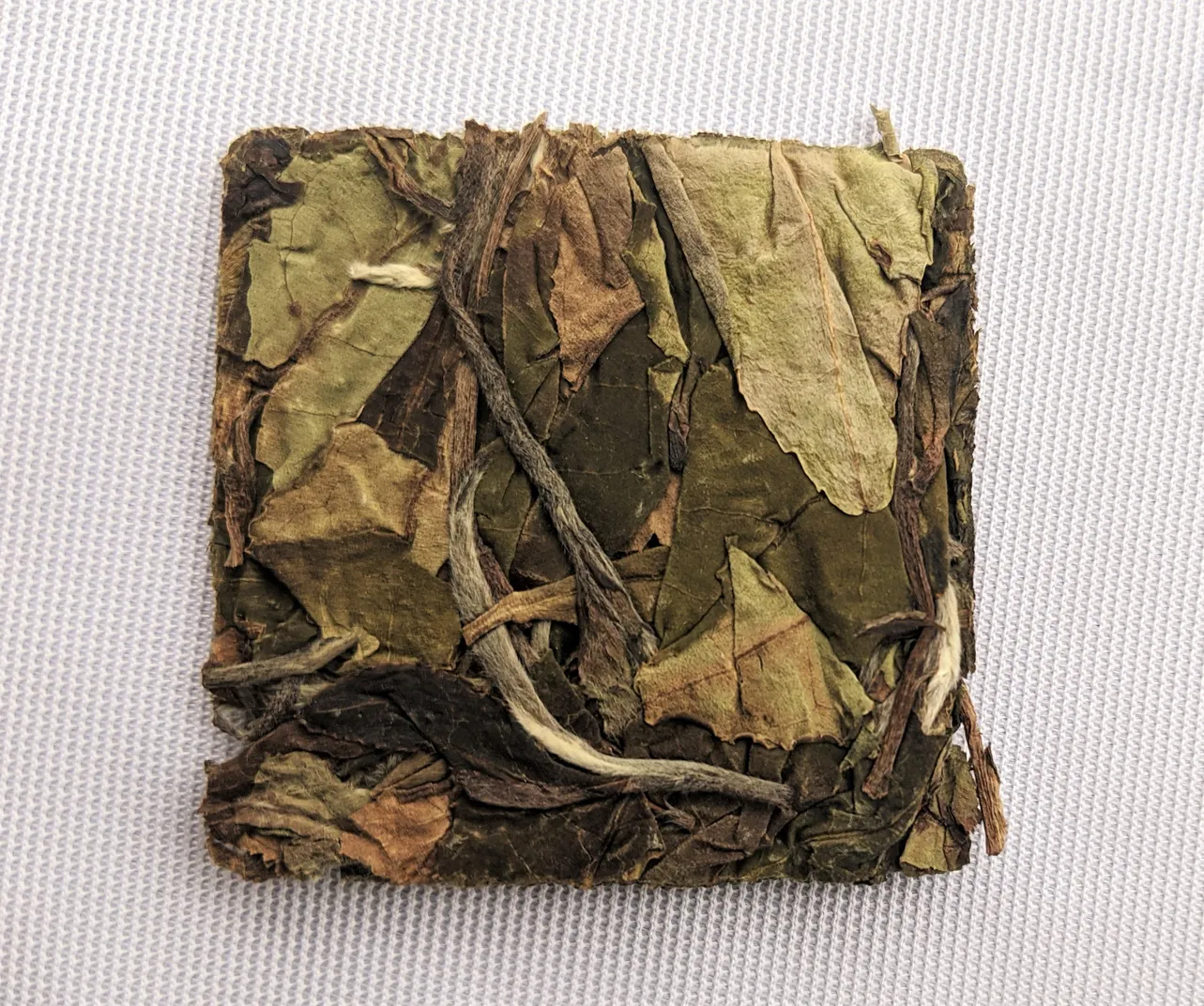 Aged White Tea Brick | Cultivate Taste Tea