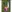 Glass Image Background