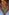 Glass Image Background