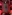 Glass Image Background