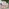 Glass Image Background