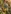 Glass Image Background