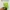 Glass Image Background