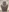 Glass Image Background