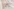 Glass Image Background