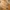 Glass Image Background