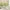 Glass Image Background