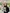Glass Image Background