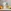 Glass Image Background