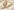 Glass Image Background