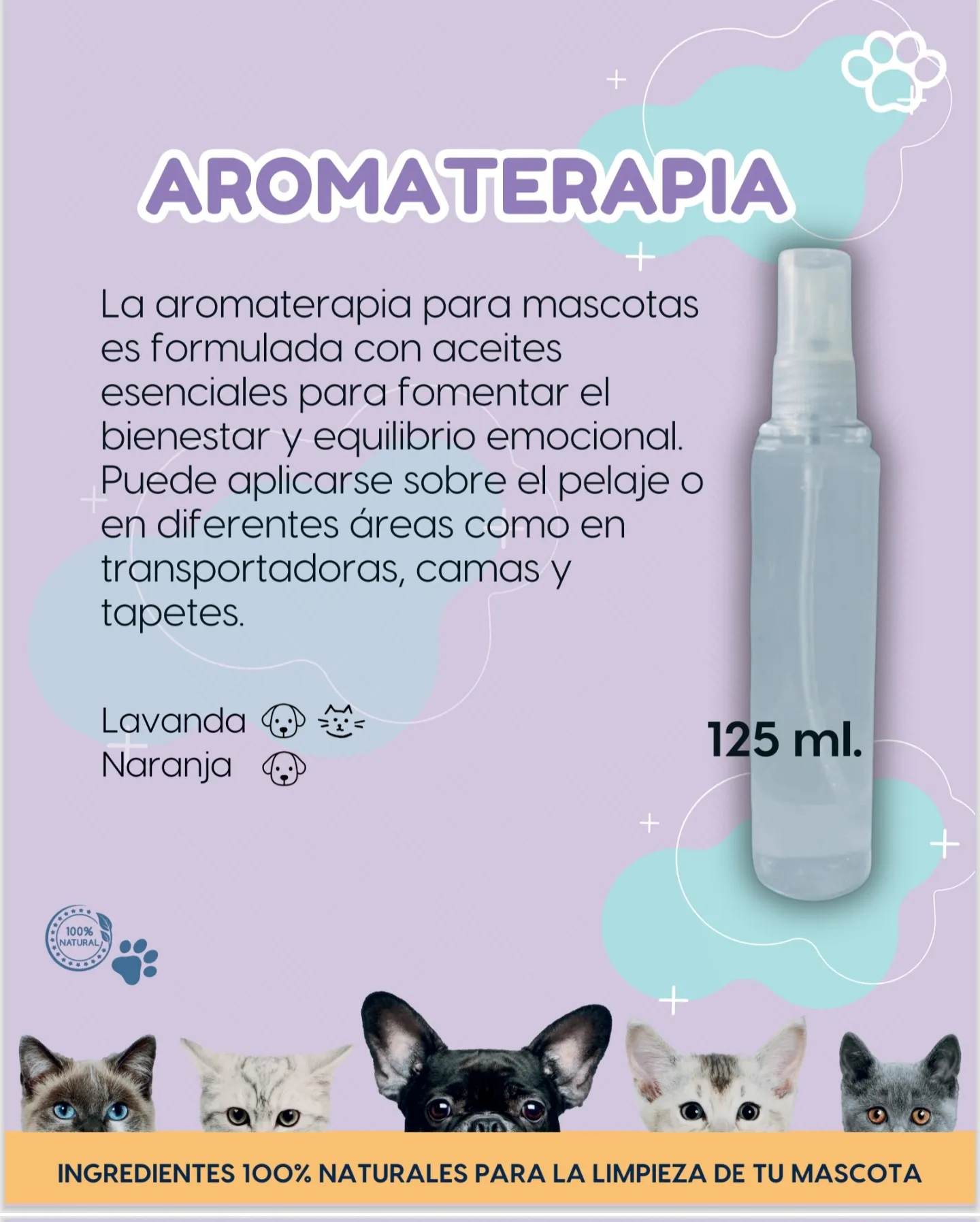 Product 4