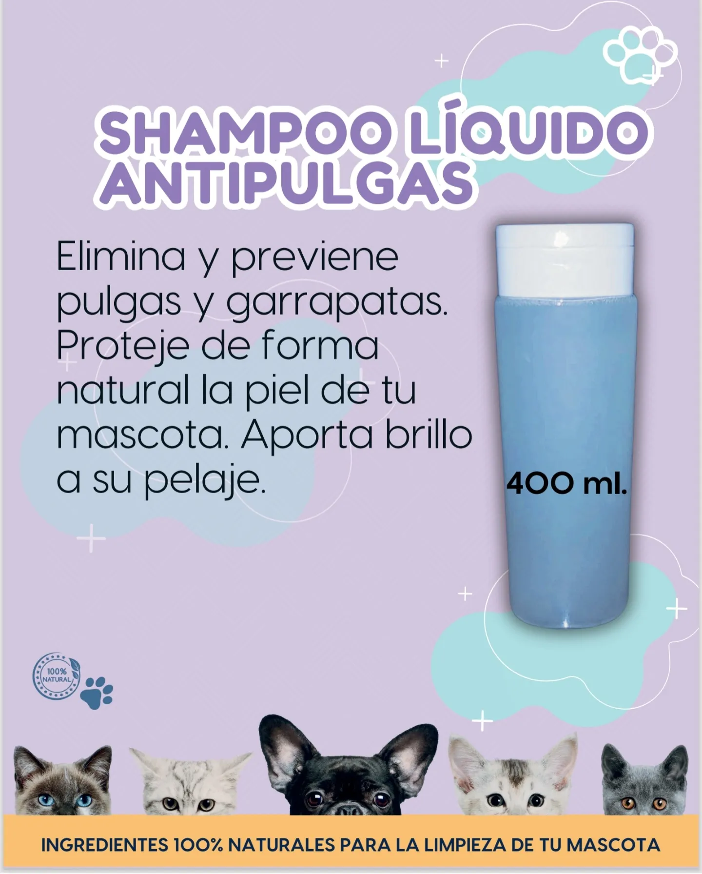 Product 6