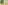 Glass Image Background