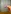 Glass Image Background