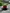 Glass Image Background