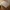 Glass Image Background