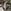 Glass Image Background
