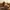 Glass Image Background