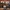 Glass Image Background
