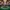 Glass Image Background
