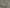 Glass Image Background