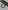 Glass Image Background
