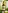 Glass Image Background