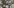 Glass Image Background