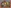 Glass Image Background