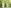 Glass Image Background