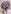 Glass Image Background