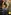 Glass Image Background