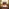 Glass Image Background