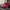 Glass Image Background