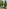 Glass Image Background