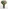 Glass Image Background