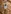 Glass Image Background