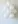 Glass Image Background